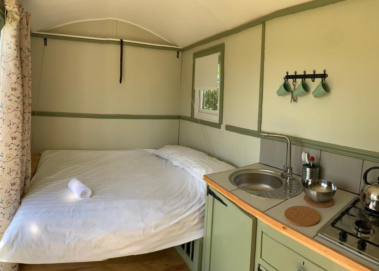 Hillcrest Hut Leilighet Tenby Eksteriør bilde