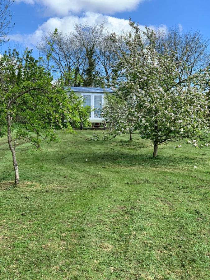 Hillcrest Hut Leilighet Tenby Eksteriør bilde