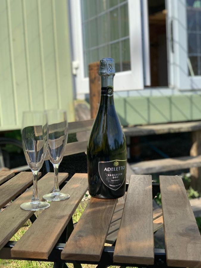 Hillcrest Hut Leilighet Tenby Eksteriør bilde